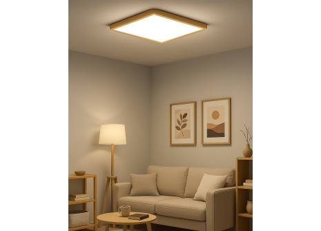 LED stropní 3CCT svítidlo TR-94S - 40W 4300lm 50x50x2,5cm Trixline LED stropní 3CCT svítidlo TR-94S - 40W 4300lm 50x50x2,5cm Trixline