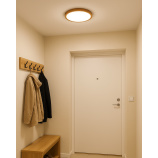 LED stropní 3CCT svítidlo TR-72S - 18W 1850lm ø23x2,5cm Trixline LED stropní 3CCT svítidlo TR-72S - 18W 1850lm ø23x2,5cm Trixline