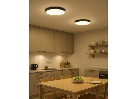 Q-221CP Led stropní svítidlo FLUME 10W 850lm 4000K ø22,5cm/kruhové černé QTEC Q-221CP Led stropní svítidlo FLUME 10W 850lm 4000K ø22,5cm/kruhové černé QTEC