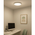LED stropní 3CCT svítidlo TR-74S - 24W 2500lm ø30x2,5cm Trixline LED stropní 3CCT svítidlo TR-74S - 24W 2500lm ø30x2,5cm Trixline