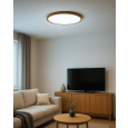 LED stropní 3CCT svítidlo TR-80S - 32W 3400lm ø40x2,5cm Trixline
