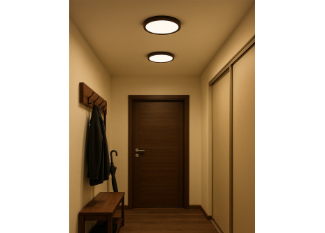 LED stropní 3CCT svítidlo TR-77S - 24W 2500lm ø30x2,5cm Trixline