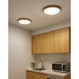 LED stropní 3CCT svítidlo TR-76S - 24W 2500lm ø30x2,5cm Trixline